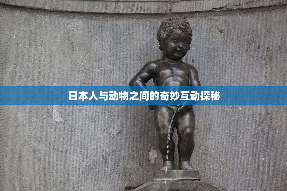 日本人与动物之间的奇妙互动探秘