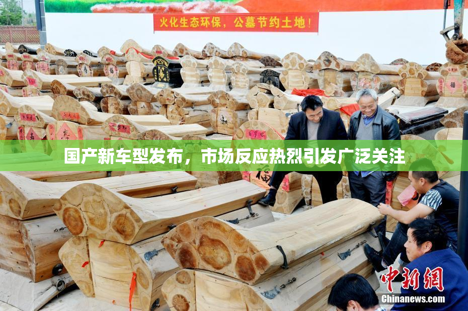 国产新车型发布，市场反应热烈引发广泛关注