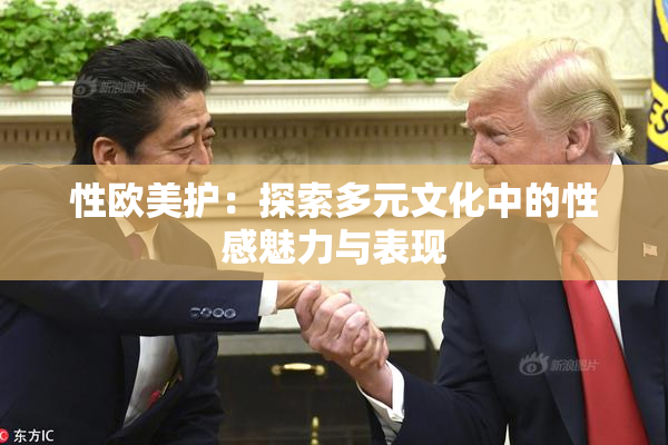 性欧美护：探索多元文化中的性感魅力与表现