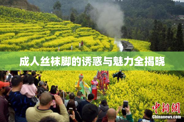 成人丝袜脚的诱惑与魅力全揭晓