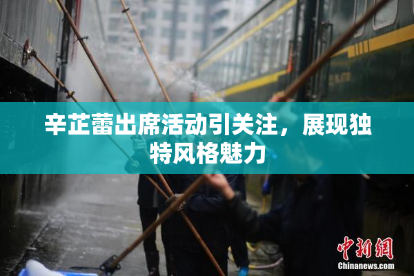 辛芷蕾出席活动引关注，展现独特风格魅力