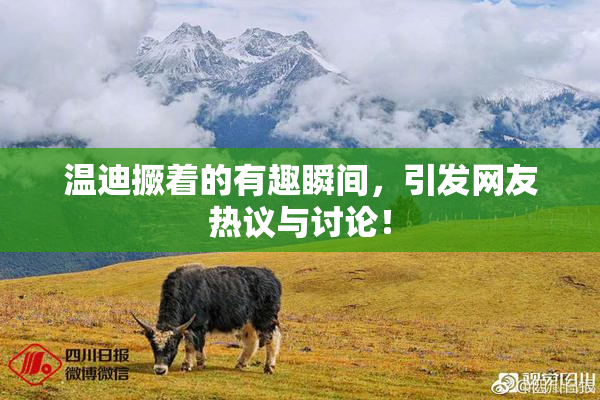 温迪撅着的有趣瞬间，引发网友热议与讨论！