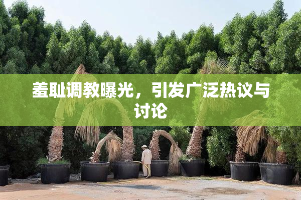 羞耻调教曝光，引发广泛热议与讨论