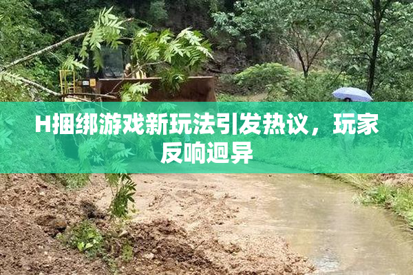 H捆绑游戏新玩法引发热议，玩家反响迥异