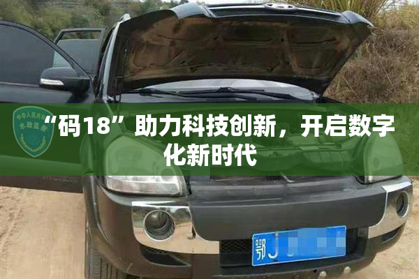 “码18”助力科技创新，开启数字化新时代