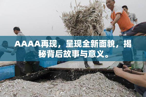 AAAA再现，呈现全新面貌，揭秘背后故事与意义。
