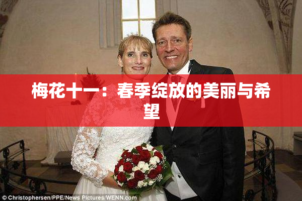 梅花十一：春季绽放的美丽与希望