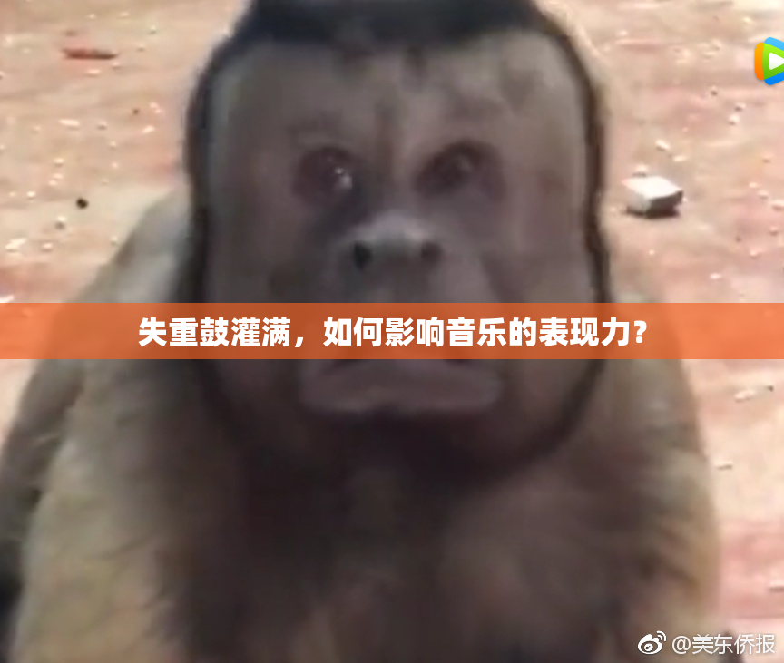 失重鼓灌满，如何影响音乐的表现力？