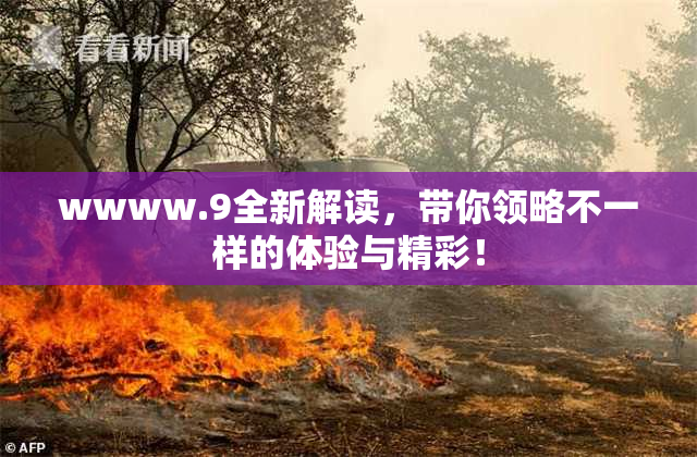 wwww.9全新解读，带你领略不一样的体验与精彩！