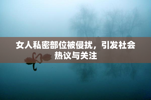女人私密部位被侵扰，引发社会热议与关注