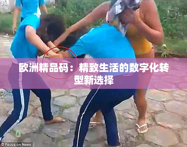 欧洲精品码：精致生活的数字化转型新选择