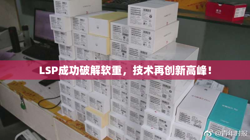 LSP成功破解软重，技术再创新高峰！