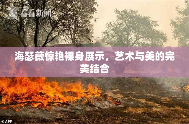 海瑟薇惊艳裸身展示，艺术与美的完美结合