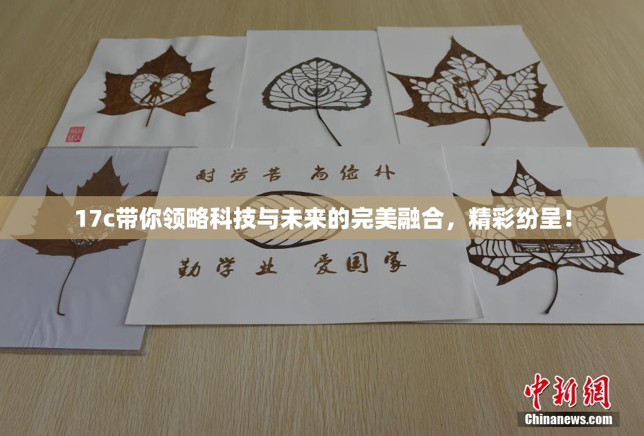 17c带你领略科技与未来的完美融合，精彩纷呈！