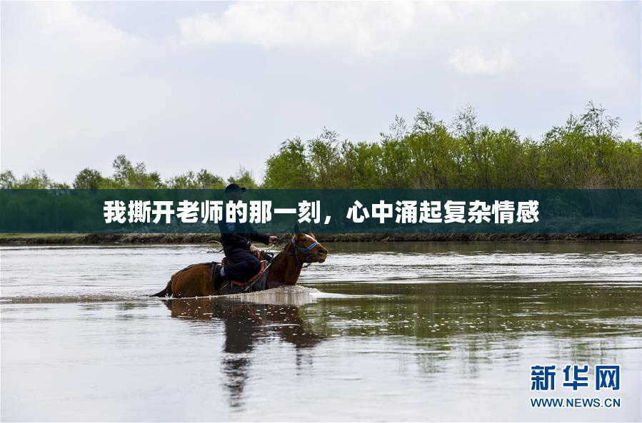 我撕开老师的那一刻，心中涌起复杂情感