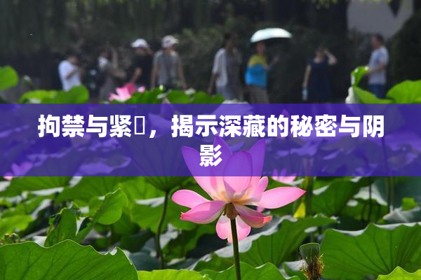 拘禁与紧縛，揭示深藏的秘密与阴影