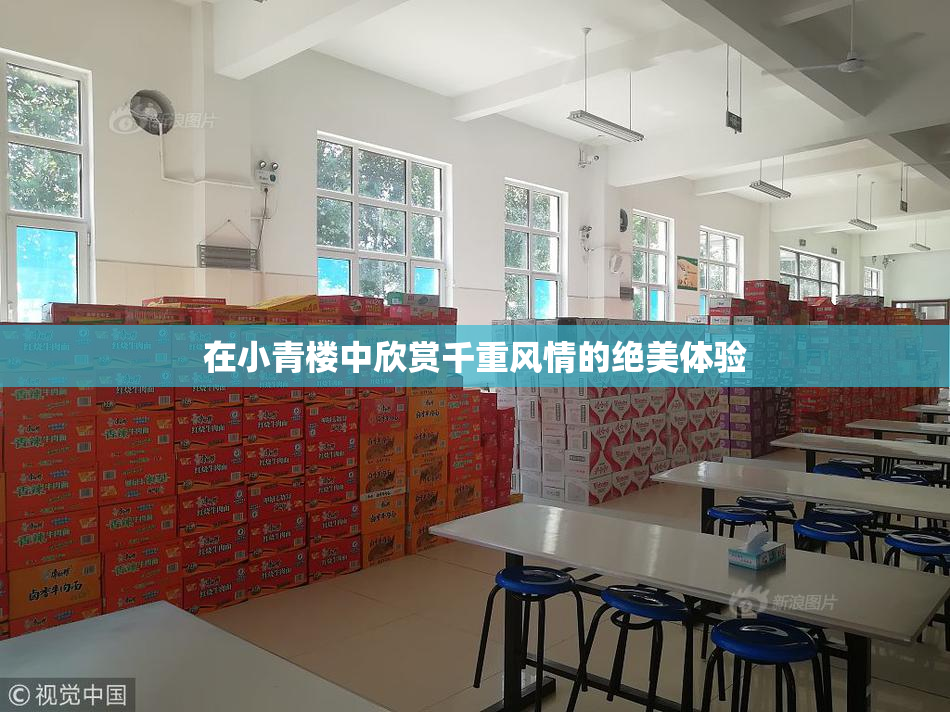 在小青楼中欣赏千重风情的绝美体验