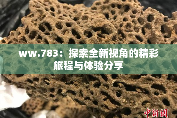 ww.783：探索全新视角的精彩旅程与体验分享