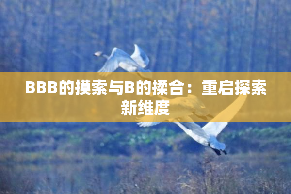 BBB的摸索与B的揉合：重启探索新维度