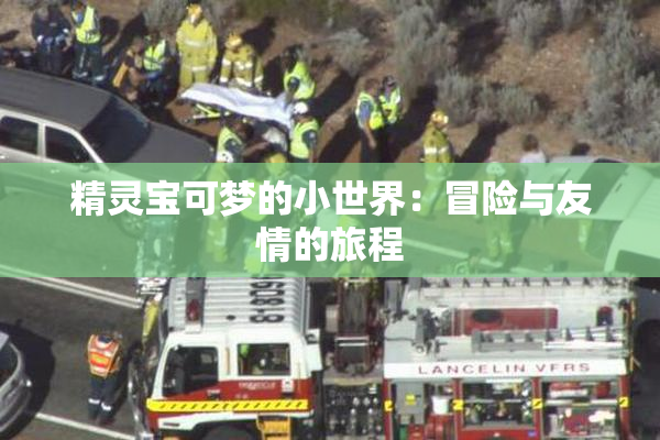 精灵宝可梦的小世界：冒险与友情的旅程