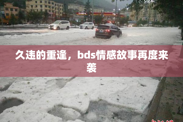 久违的重逢，bds情感故事再度来袭