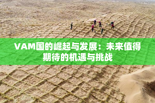 VAM国的崛起与发展：未来值得期待的机遇与挑战