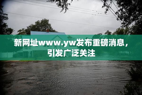 新网址www.yw发布重磅消息，引发广泛关注