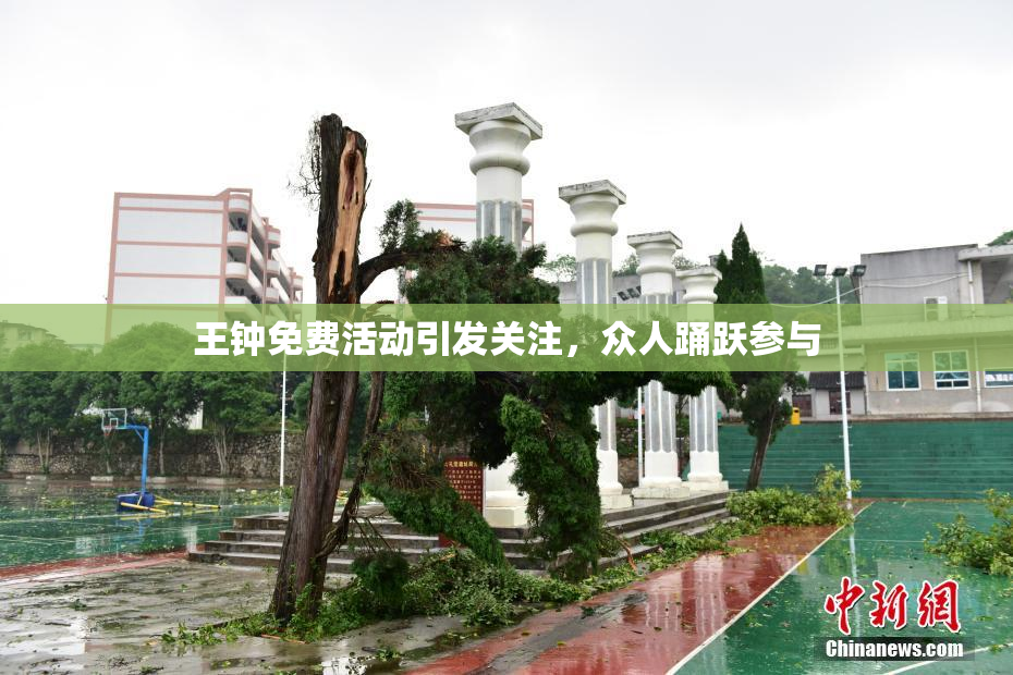 王钟免费活动引发关注，众人踊跃参与