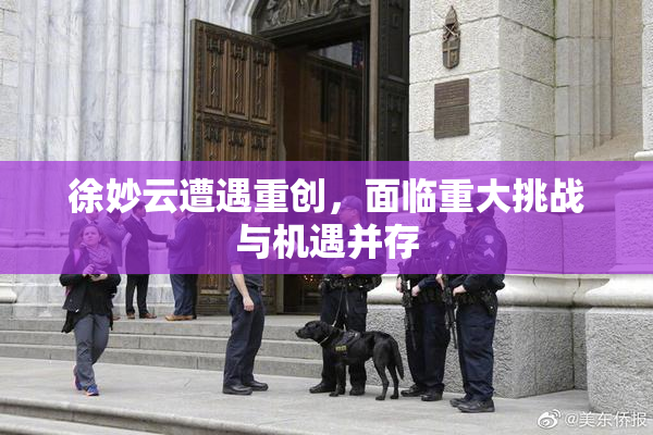 徐妙云遭遇重创，面临重大挑战与机遇并存