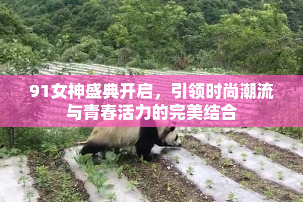 91女神盛典开启，引领时尚潮流与青春活力的完美结合