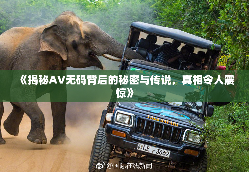 《揭秘AV无码背后的秘密与传说，真相令人震惊》