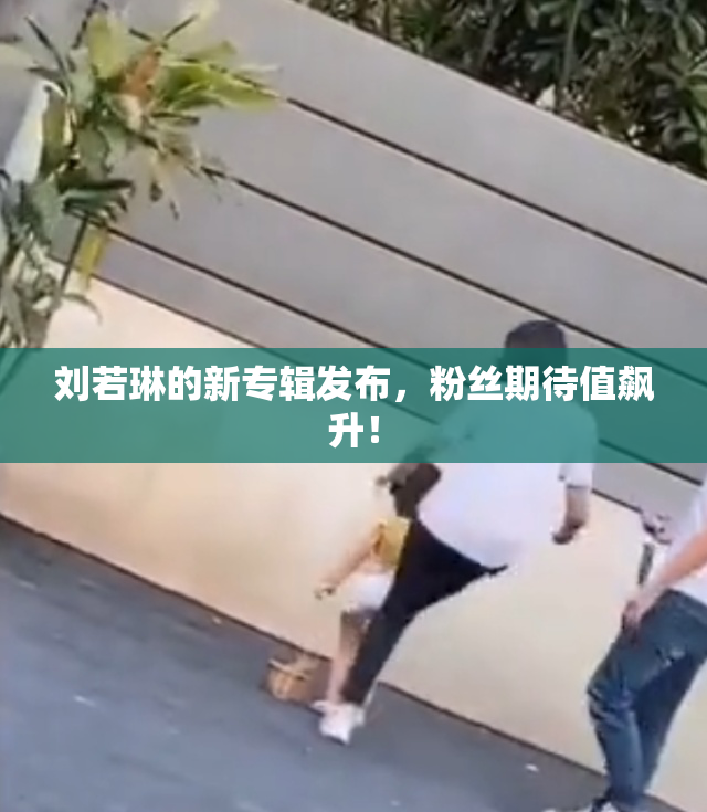 刘若琳的新专辑发布，粉丝期待值飙升！