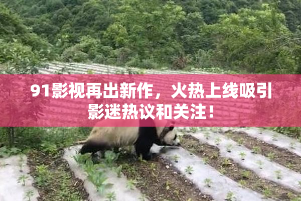 91影视再出新作，火热上线吸引影迷热议和关注！
