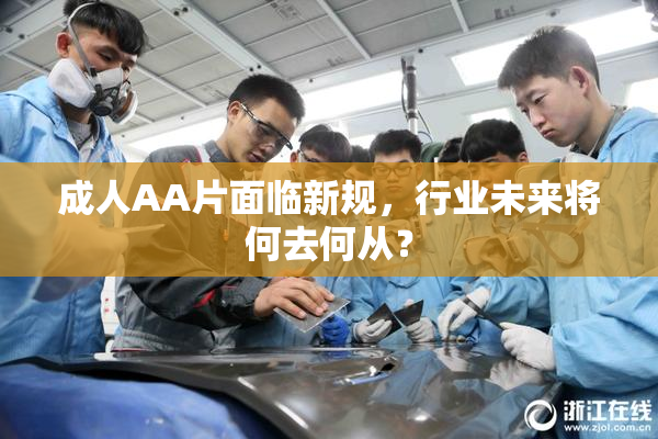成人AA片面临新规，行业未来将何去何从？