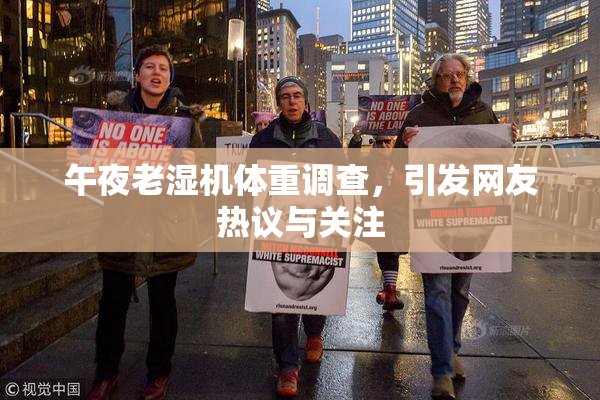 午夜老湿机体重调查，引发网友热议与关注