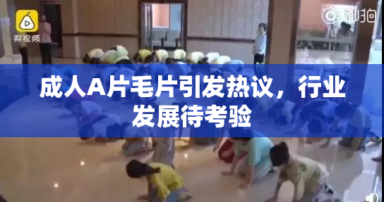 成人A片毛片引发热议，行业发展待考验