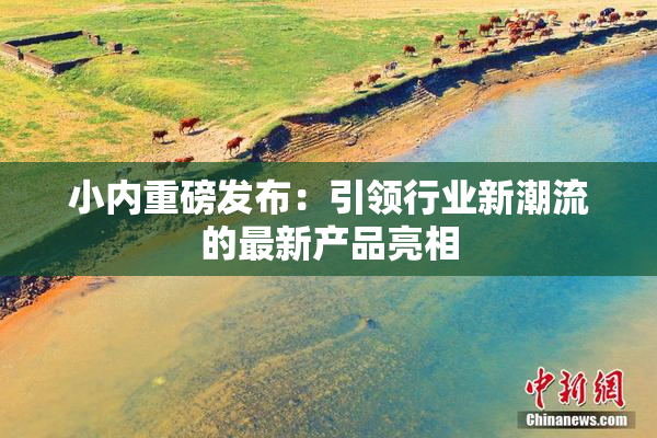 小内重磅发布：引领行业新潮流的最新产品亮相