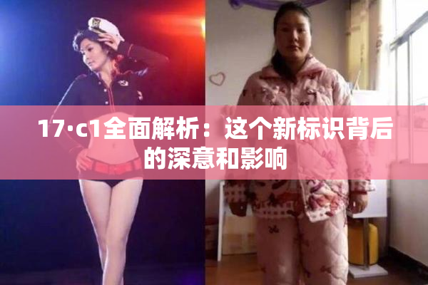 17·c1全面解析：这个新标识背后的深意和影响