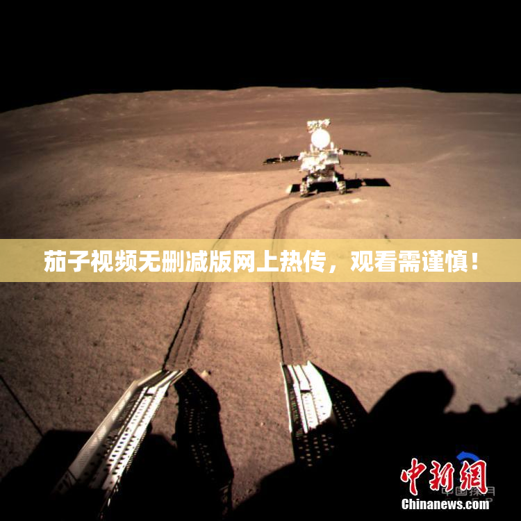 茄子视频无删减版网上热传，观看需谨慎！