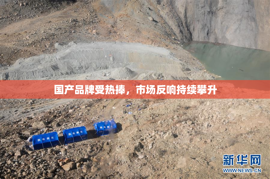 国产品牌受热捧，市场反响持续攀升