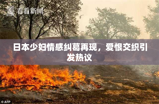 日本少妇情感纠葛再现，爱恨交织引发热议
