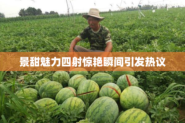 景甜魅力四射惊艳瞬间引发热议