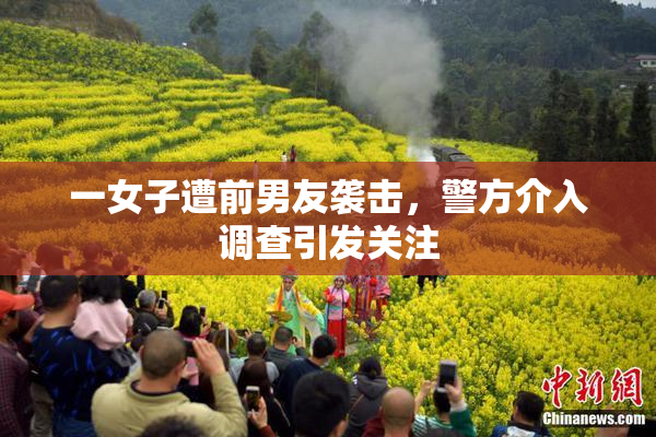 一女子遭前男友袭击，警方介入调查引发关注