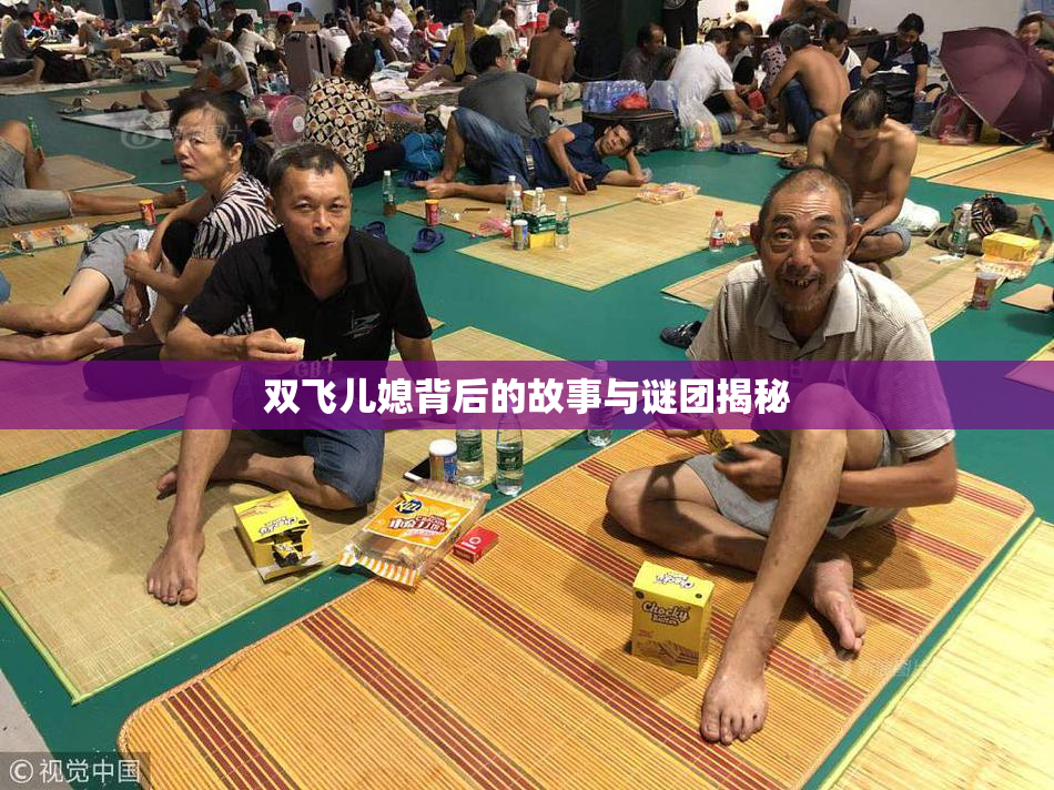 双飞儿媳背后的故事与谜团揭秘