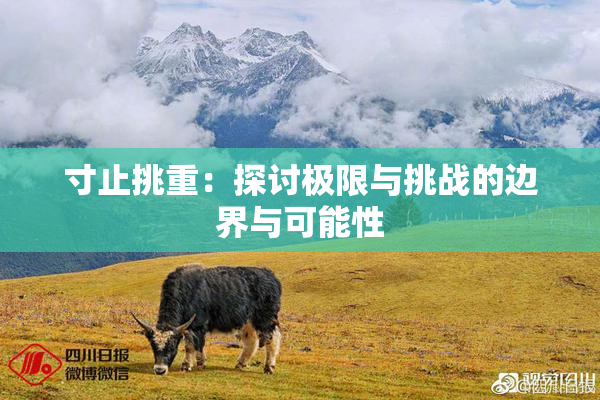 寸止挑重：探讨极限与挑战的边界与可能性