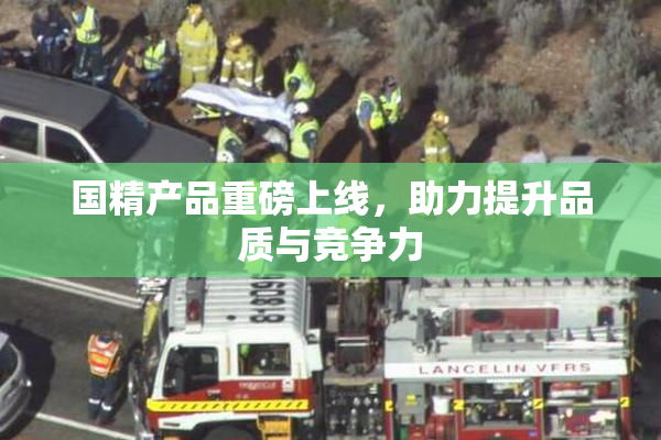 国精产品重磅上线，助力提升品质与竞争力