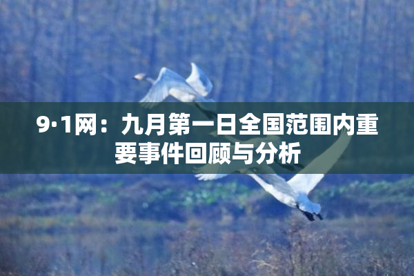 9·1网：九月第一日全国范围内重要事件回顾与分析