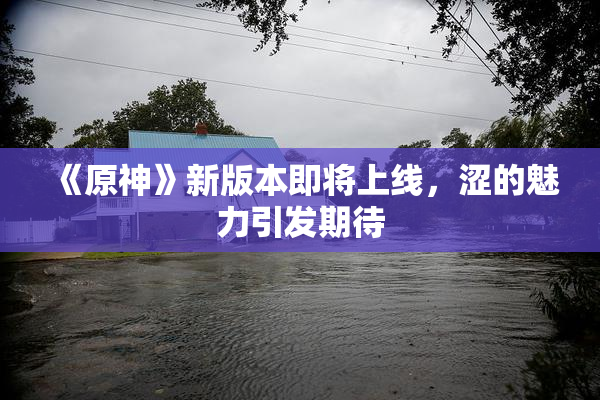 《原神》新版本即将上线，涩的魅力引发期待