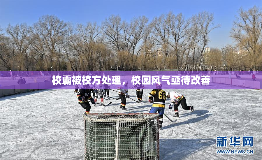 校霸被校方处理，校园风气亟待改善