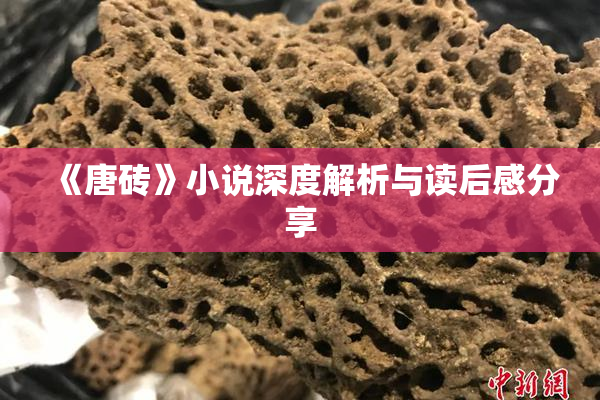 《唐砖》小说深度解析与读后感分享